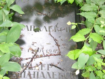 Могила Папалекси Николая Дмитриевича (1880-1947)
