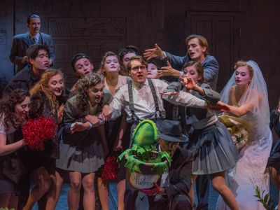 Билеты на Ужасы в цветочном магазине (Учебный театр «На Моховой») / Театр | Афиша | ИнфоТаймс