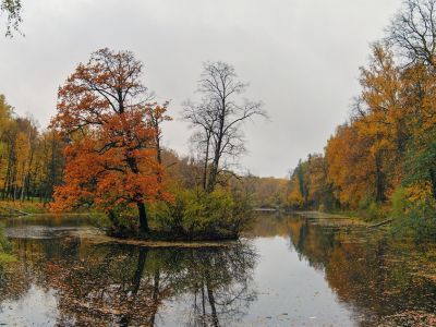 Усадьба "Нехлюдово": - парк
