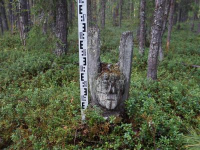 Святилище Осёнт-Пупы-Сязи 1