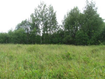 Памятное место, на котором находилась усадьба, где родился и провел детские годы географ Н.К.Бошняк