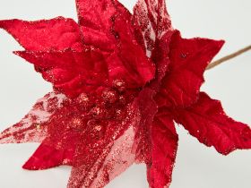 Цветок Пуансеттия/Poinsettia II