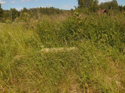 Хозяйственная постройка (флигель)