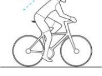 Седло Selle Royal Scientia A3 (черный)