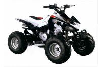 Квадроцикл MOTOLAND ATV 110S