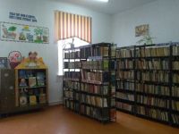 Брянская сельская библиотека