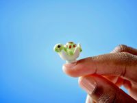 Friends 42673 Конструктор Пляжный курорт для семейного отдыха