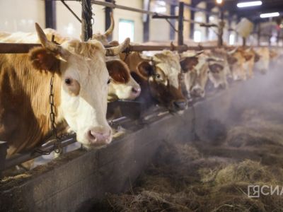 В Якутии идет масштабное строительство объектов малых мощностей в сельском хозяйстве