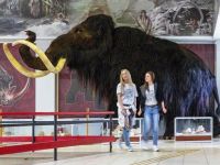 Государственный археологический музей-заповедник «Костенки»