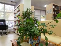 Библиотека № 51 на ул. Яблочкова