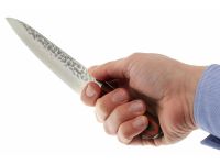 Нож универсальный 150, Sakai Takayuki, сталь Damascus VG-10, рукоять pakka wood, коричневый