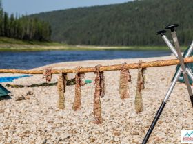 Сплав, отдых и рыбалка на реке Амга. Маршрут: Верхняя Амга - Оннес (390 км.)