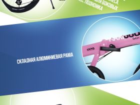 Детский велосипед Maxiscoo S009 20, год 2024, цвет Розовый