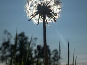 Сплав по реке Лена с посещением Ленских Столбов, тукуланов-песков Самыс Кумага и Кысыл Элэсин