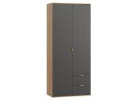 Распашной шкаф Монблан 2-93x215 Ритм Графитовый