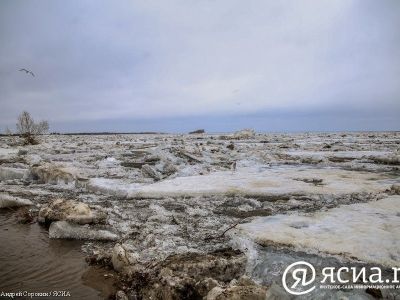 МЧС: Критических уровней на реках Якутии не зарегистрировано