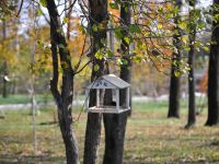 Городской парк им. Ю. Гагарина