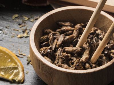 В рационе жителей ЕС появится еще несколько блюд из насекомых