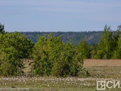 Около 43 тысяч заявок на Дальневосточный гектар поступило в Якутии