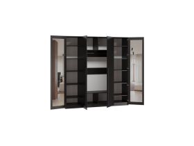 Распашной шкаф Кимбол 4-240x210 Черный с зеркалом