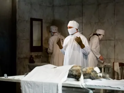 Билеты на Собачье сердце (Красный факел) / Театр | Афиша | ИнфоТаймс