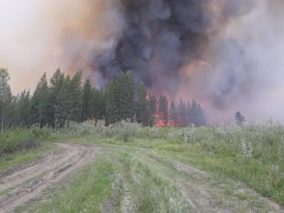 В Якутии возбудили первое уголовное дело на подозреваемого в возникновении лесного пожара