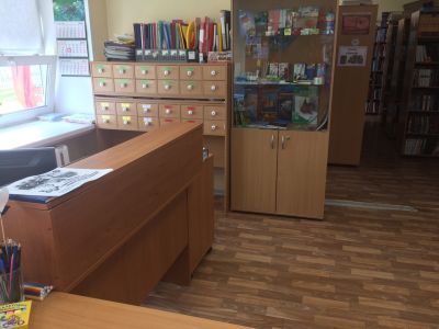 Демьянская библиотека