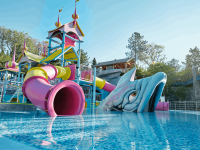 Семейный парк чудес и приключений «Дримвуд»