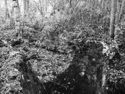 Остатки домны Топозерского завода