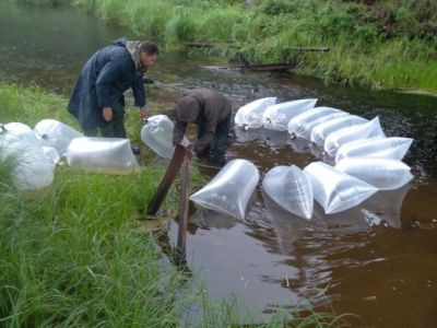 В Вилюйское водохранилище выпустили более 200 тысяч мальков пеляди