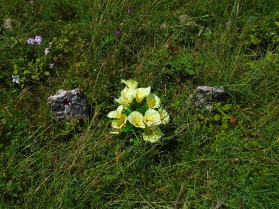Братская могила воинов Советской Армии, погибших в 1942-43 гг.