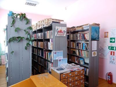 Михайловская библиотека