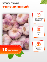 Чеснок Тогучинский 1 уп. (10 головок) калибр 4