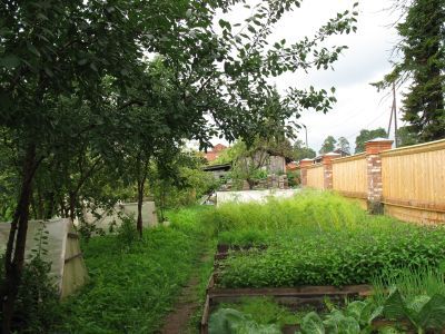 Аптекарский сад с огородами