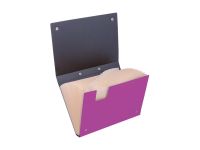 Папка-портфель 13 отделений Berlingo "Skyline" А4, 328*285 мм, 700 мкм, розовая