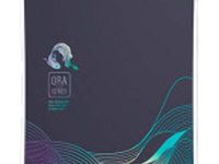 Сноуборд NIDECKER Ora Grey Blue 21/22