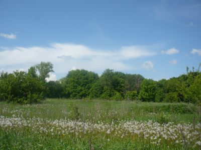 Предтеченская церковь (деревянная)