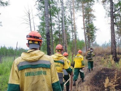 В Якутии за сутки в три раза сократилась площадь лесных пожаров