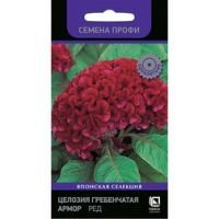 Целозия гребенчатая Армор Ред (Семена Профи)