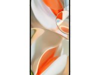 Google Pixel 10 Pro XL 16/256Gb (Porcelain)