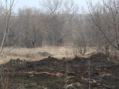 Памятник В.И. Ленину