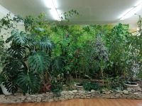 Музей экологии и охраны природы г. Набережные Челны