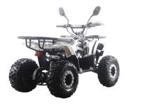 Квадроцикл MOTAX ATV Grizlik Premium 125cc