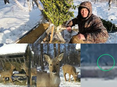 «Это стало моим хобби»: якутянин семь лет подкармливает диких животных лакомствами