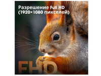 Телевизор Hisense 32A5S, 32", QLED FHD, 60 Гц, Smart TV