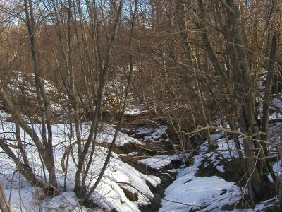 Регулярный усадебный парк с каскадными прудами