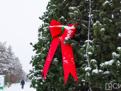Авито Услуги рассказали, как ритейл и покупатели переживают новогодний бум