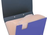 Папка-портфель 13 отделений Berlingo "Skyline" А4, 328*285 мм, 700 мкм, фиолетовая