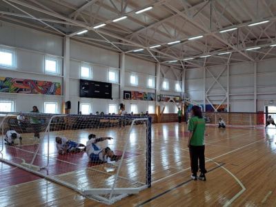 Сурдолимпийский комитет РФ: «Адаптивные виды спорта способствуют созданию комфортной среды в Якутии»