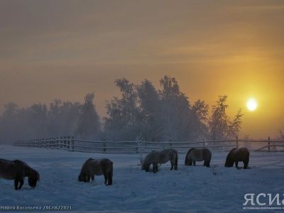 В День коневода 18 коневодческих хозяйств Якутии получат по 3 миллиона рублей